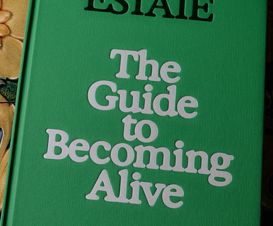 Flamingo Estate The Guide to Becoming Alive Book - Homebody Denver