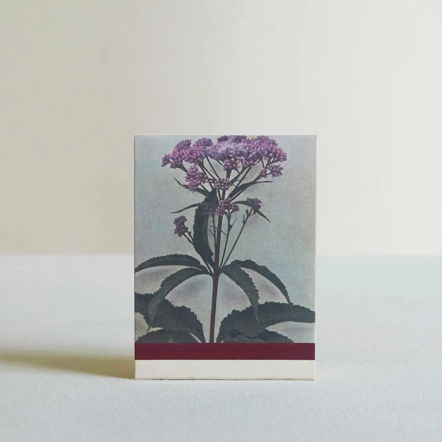 The Quiet Botanist Botanical Matches