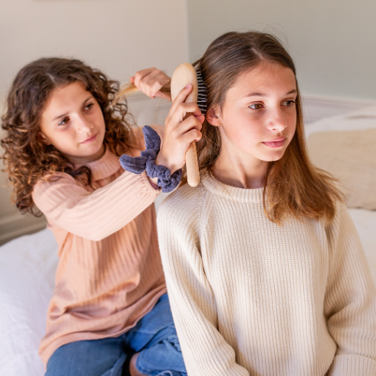 Detangling Nylon and Beechwood Hairbrush
