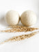 Pikoc Dryer Balls - Homebody Denver