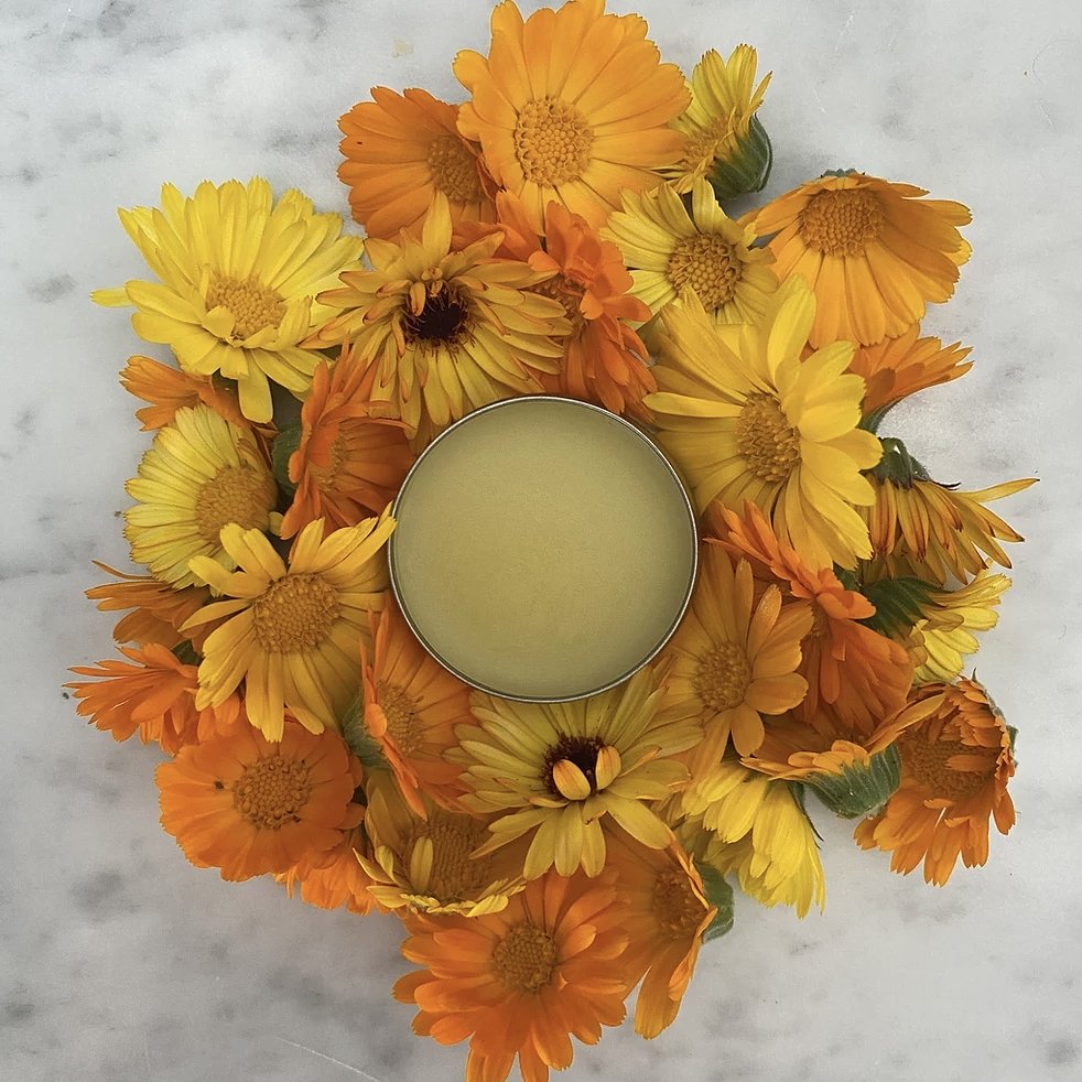 Milda Apothecary Calendula Salve .5oz