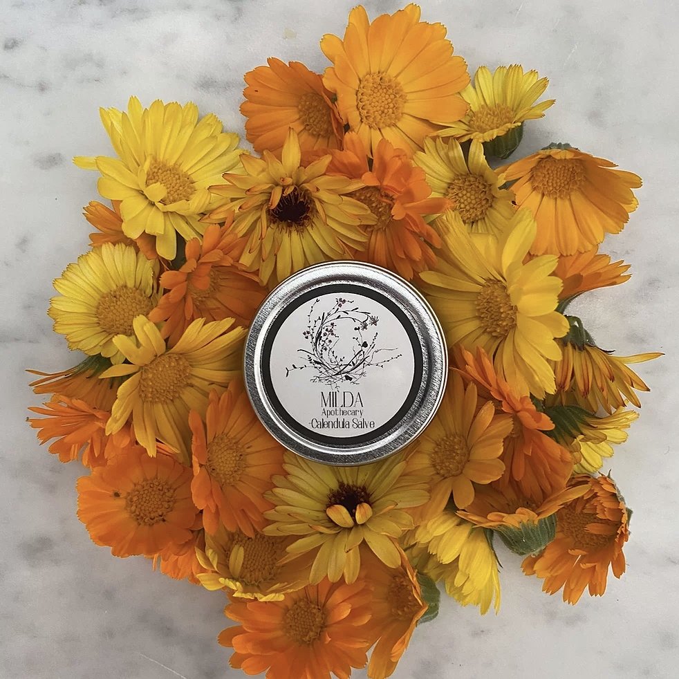 Milda Apothecary Calendula Salve .5oz