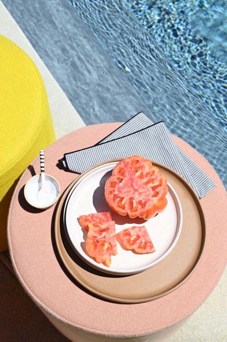 Dalmatian Check Napkin Set, Set of 4 - Homebody Denver