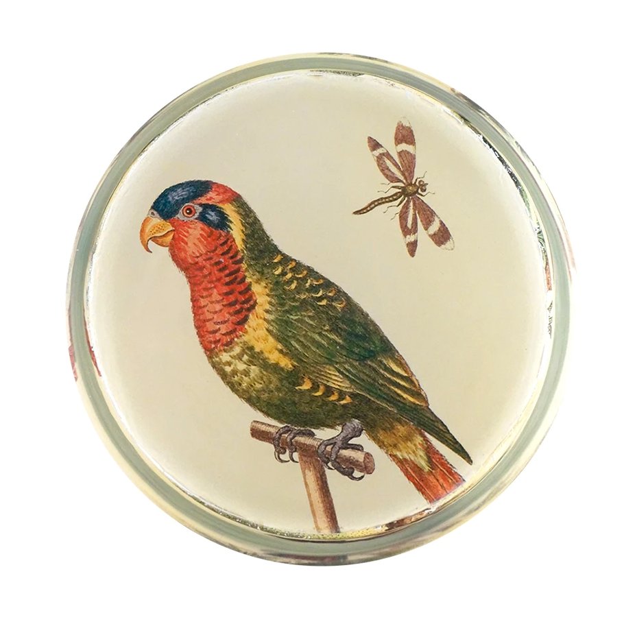 Decoupage Desk Cup - Homebody Denver