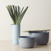 Mud Australia Small Mixing Bowl - Homebody Denver