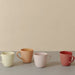 Mud Australia Mug - Homebody Denver