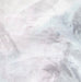 Palmeti Cushion 20" x 20" in Oyster Linen - Homebody Denver
