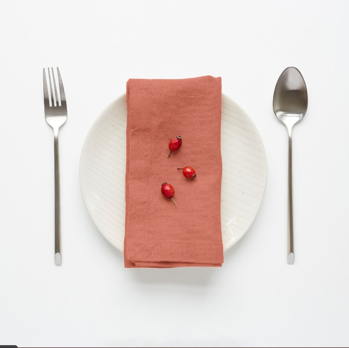 Set of 4 Solid Lithuanian Linen Napkins - Homebody Denver